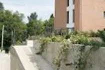 San Lorenzo Daire